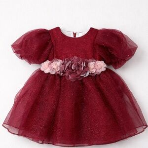 Pink Girls Couture Burgundy Glitter floral embellished Holiday Party Dress NWT 3